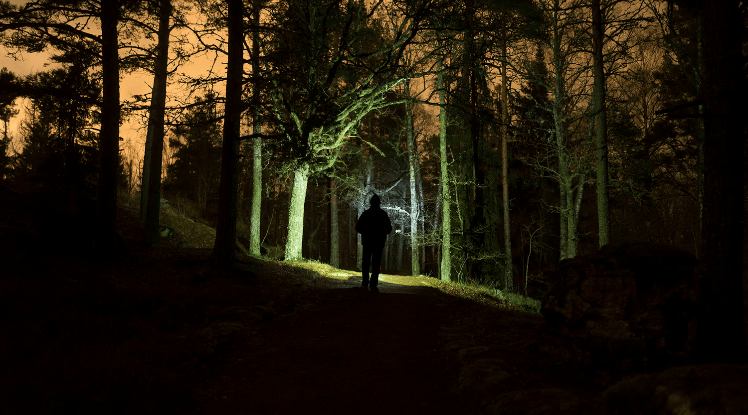 Why do you need a hunting light?
