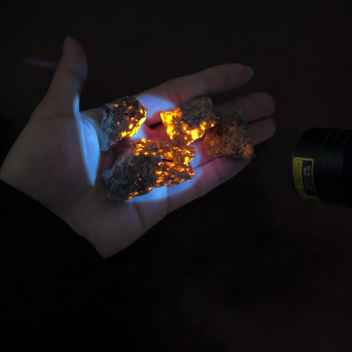 The Definitive Guide to 365nm UV Flashlights: Optics, Mineral Hunting, and Practical Detection