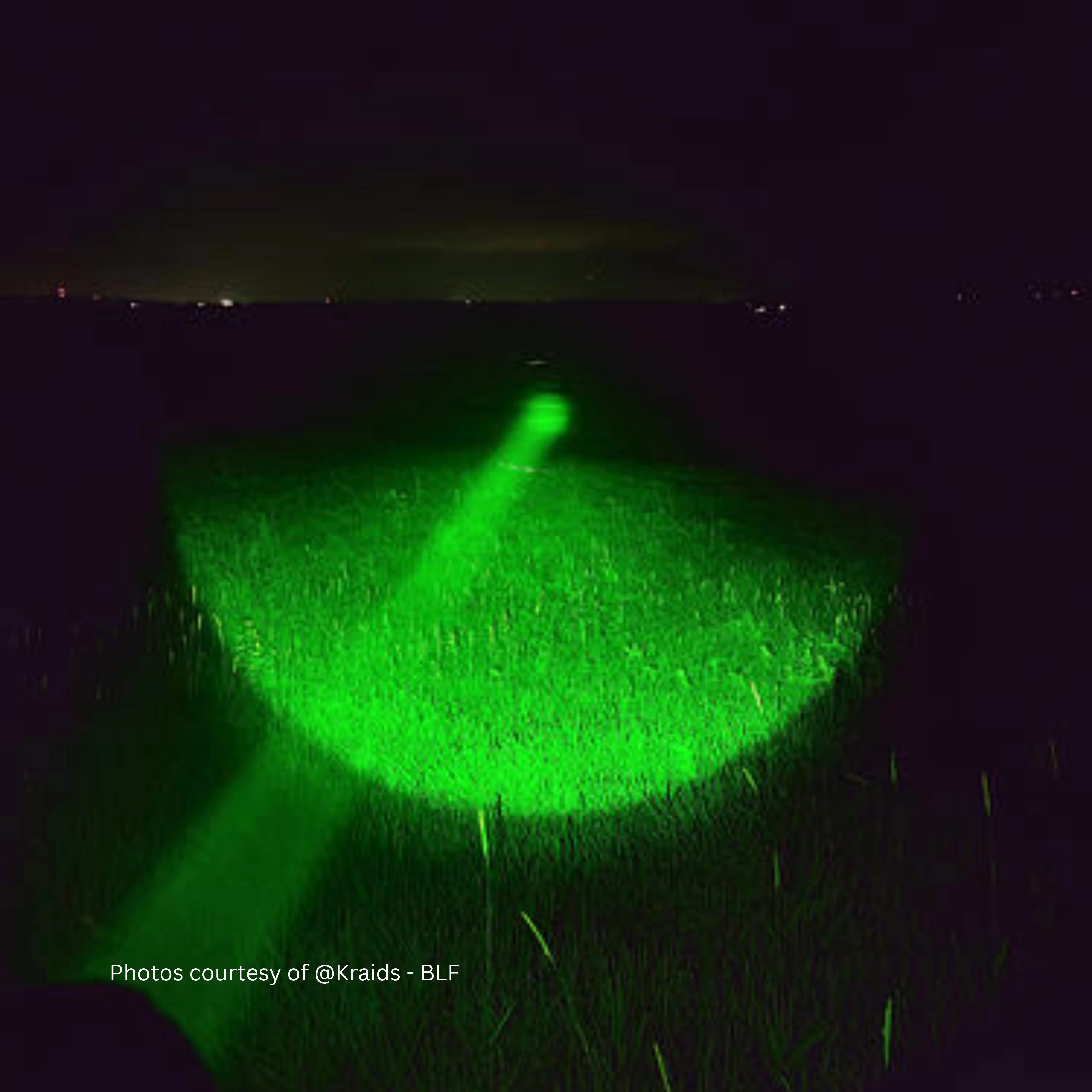 UltraFire® LG20X PRO Green Led Flashlight