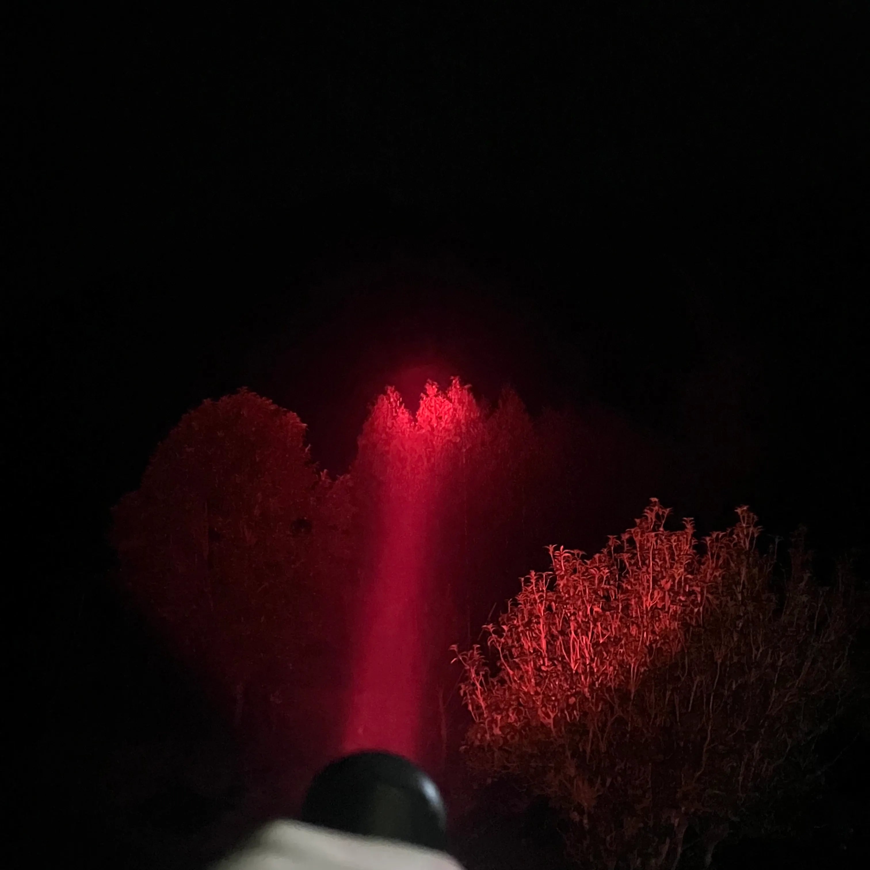 UltraFire_T6_High_Beam_Tactical_LED_Rechargeable_Flashlight_1 - UltraFire